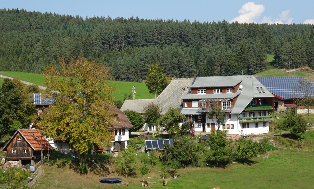 Biobauernhof mit Ferienwohnungen im Schwarzwald